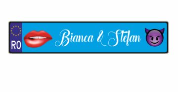 Placuta albastra +18.00&nbsp;lei